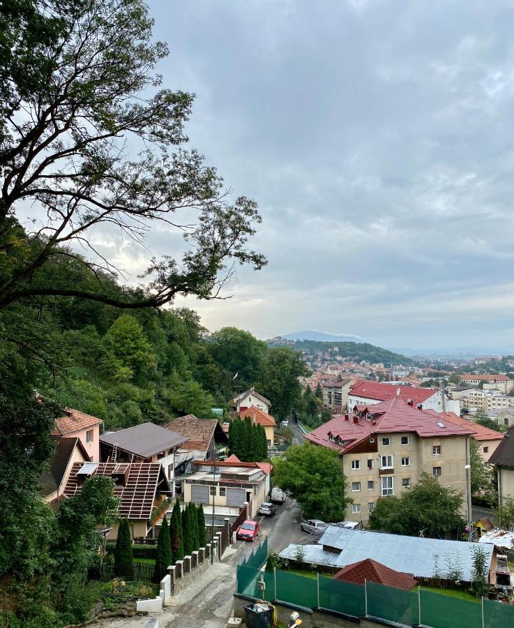 Nature Apartment - Minutes Away From The Old Town And Afi Mall Braşov Exteriör bild
