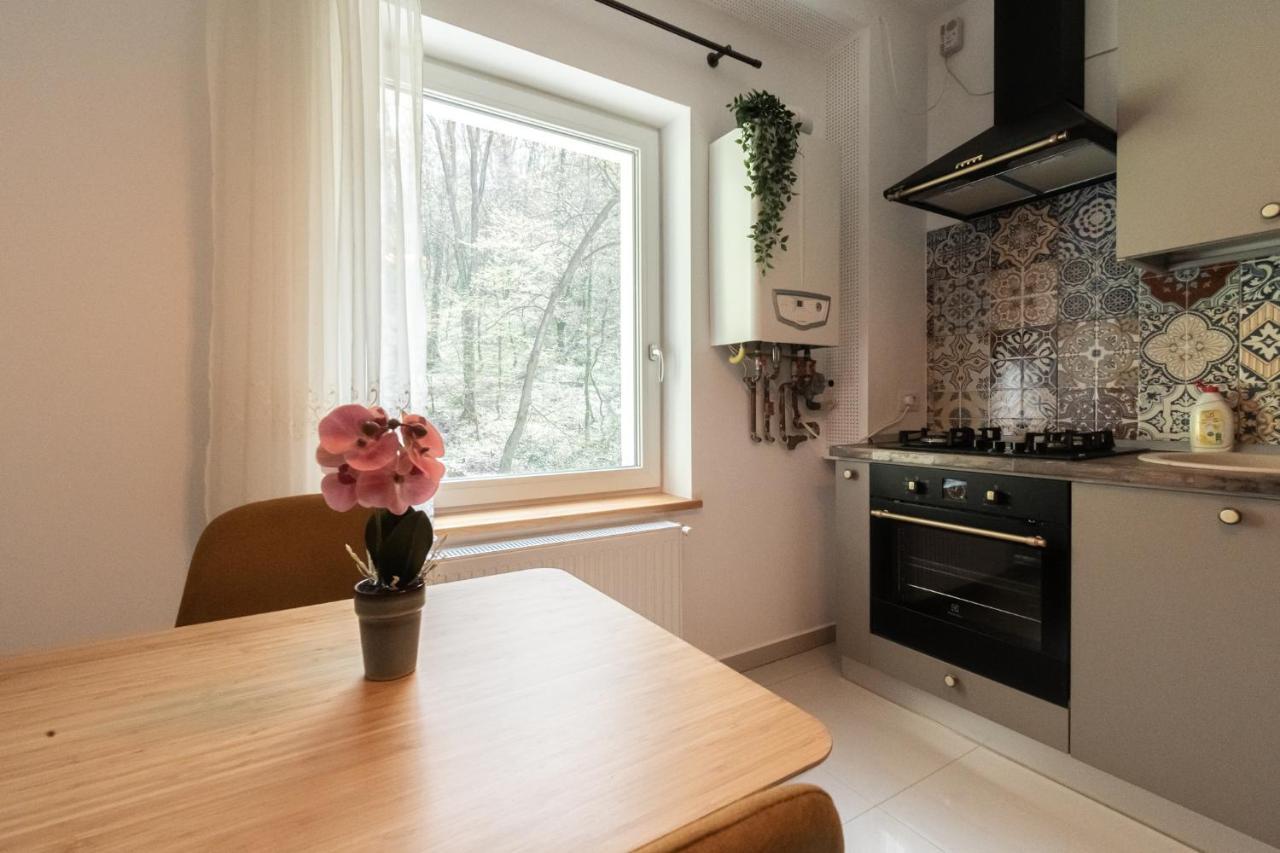 Nature Apartment - Minutes Away From The Old Town And Afi Mall Braşov Exteriör bild